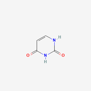 URACIL for biochemistry 