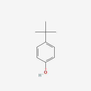4-tert-BUTYLPHENOL