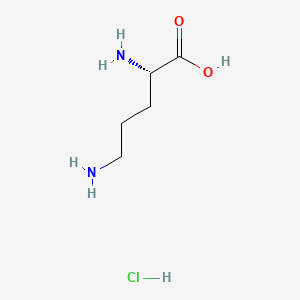L-ORNITHINE MONOHYDROCHLORIDE for biochemistry 